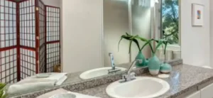 bathroom remodeling blog, solving mold problems